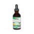 Ginkgo Alcohol-Free 500 mg (60 ml) - Nature's Answer