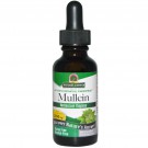 Mullein, Alcohol-Free, 2000 mg (30 ml) – Nature's Answer