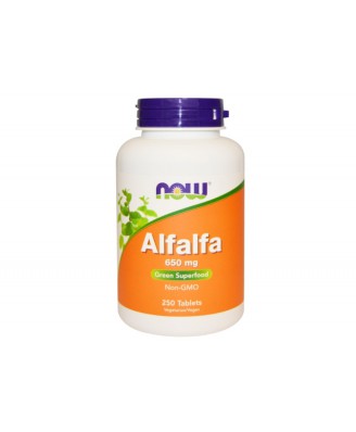Alfalfa 650 mg (250 tablets) - Now Foods