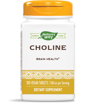 CHOLINE 500 MG (100 TABLETS) - NATURE'S WAY