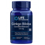 Ginkgo Biloba Certified Extract 120 mg (365 Veg Capsules) - Life Extension