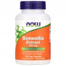 Boswellia Extract 250 mg (120 Veg Caps) - Now Foods