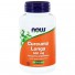Curcuma Longa 500 mg (Curcumine Phytosome) (60 vegicaps) - NOW Foods