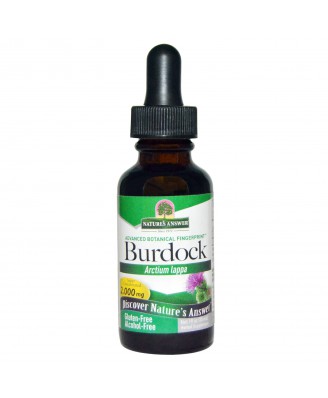 Burdock, Alcohol-Free, 2000 mg (30 ml) - Nature's Answer