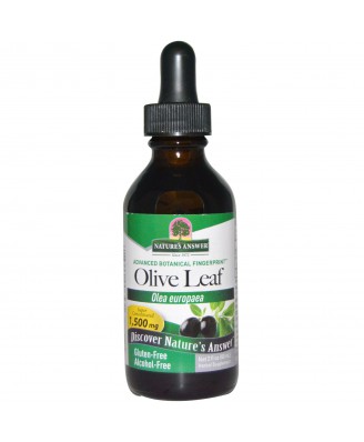 Olive Leaf, Alcohol-Free, 1500 mg (60 ml) - Nature's Answer