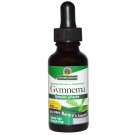 Gymnema, Alcohol-Free, 600 mg (30 ml) - Nature's Answer